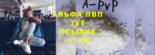 стафф Алексин