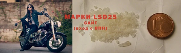 шишки Долгопрудный