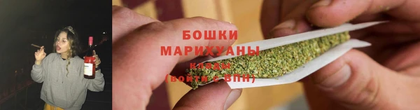 ешки Новозыбков