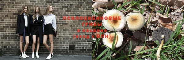 спайс Алексеевка